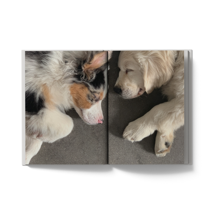 إصدار الحيوانات الأليفة